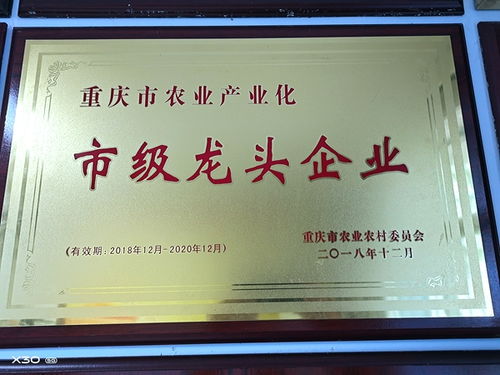 渝米集團投資近1000萬元大米智能生產(chǎn)線 已完成地面平整